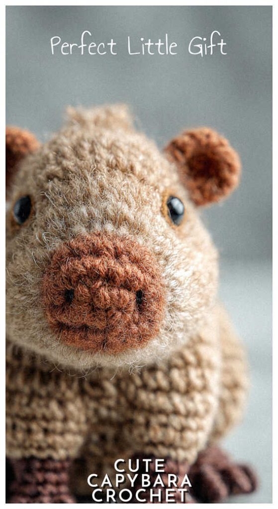 crochet capybara amigurumi close up face cute handmade capybara toy soft yarn texture
